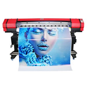 máy in dung môi roland với giá